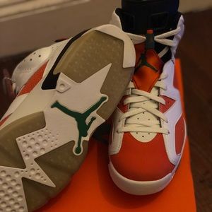 Air jordan 6 Gatorade